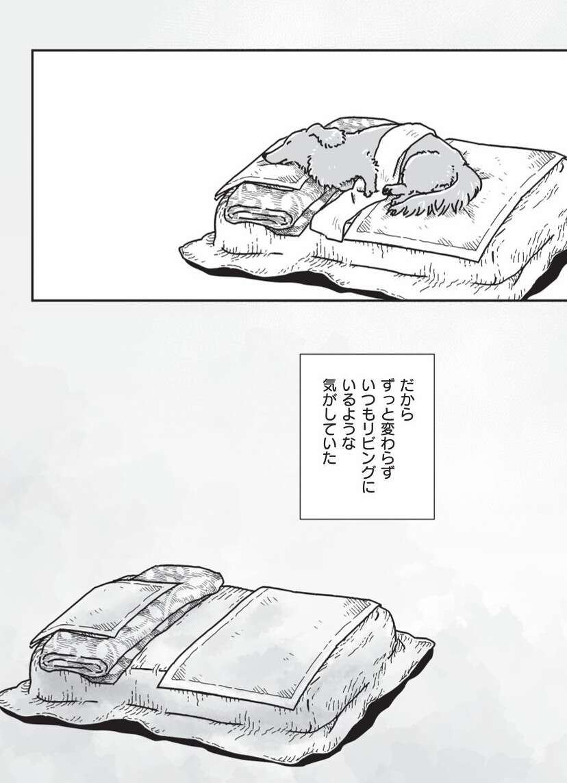 『何度でも言うね、大好きだよ 愛犬グミと銀次郎と過ごした日々』 mydog-P159.jpg