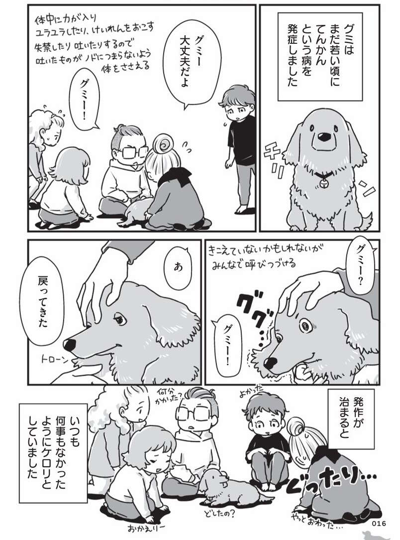 愛犬が若い頃に現れた「症状」。この病気が、家族の結束につながった/愛犬グミと銀次郎と過ごした日々 mydog-P16-2.jpg