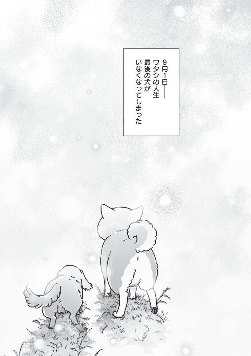 『何度でも言うね、大好きだよ 愛犬グミと銀次郎と過ごした日々』 mydog-P162.jpg
