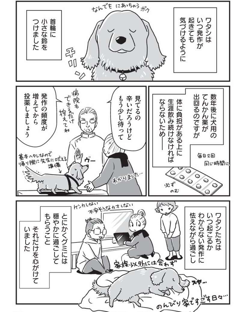 愛犬が若い頃に現れた「症状」。この病気が、家族の結束につながった／愛犬グミと銀次郎と過ごした日々 mydog-P17.jpg