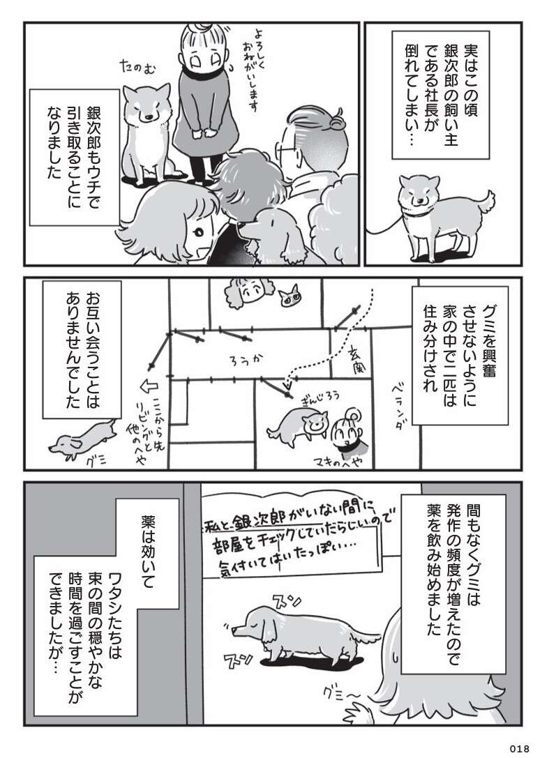 愛犬が若い頃に現れた「症状」。この病気が、家族の結束につながった／愛犬グミと銀次郎と過ごした日々 mydog-P18.jpg