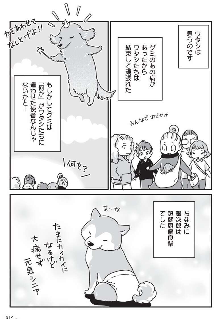 愛犬が若い頃に現れた「症状」。この病気が、家族の結束につながった／愛犬グミと銀次郎と過ごした日々 mydog-P19.jpg