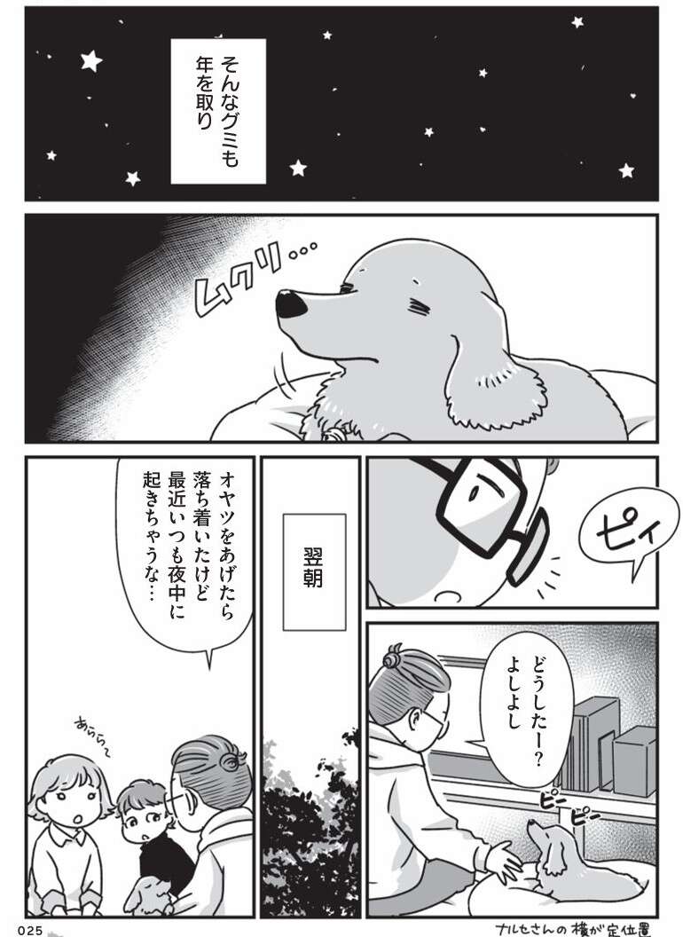 『何度でも言うね、大好きだよ 愛犬グミと銀次郎と過ごした日々』 mydog-P25.jpg