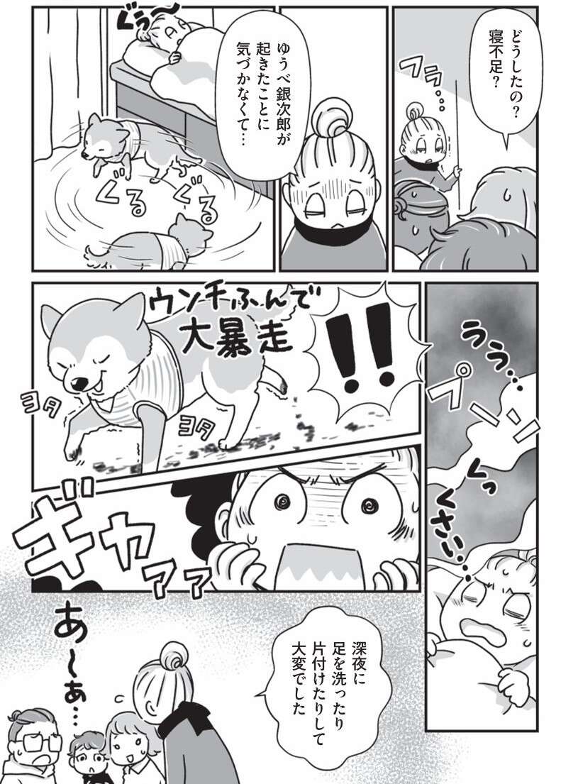 『何度でも言うね、大好きだよ 愛犬グミと銀次郎と過ごした日々』 mydog-P27.jpg