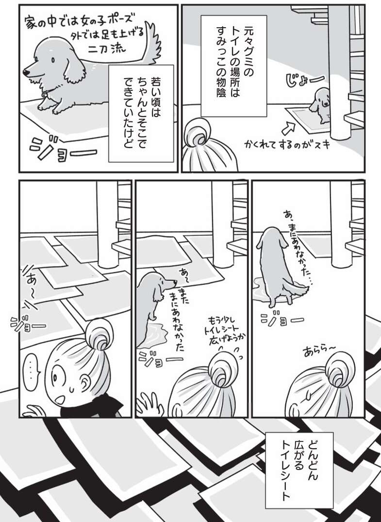 『何度でも言うね、大好きだよ 愛犬グミと銀次郎と過ごした日々』 mydog-P36-2.jpg
