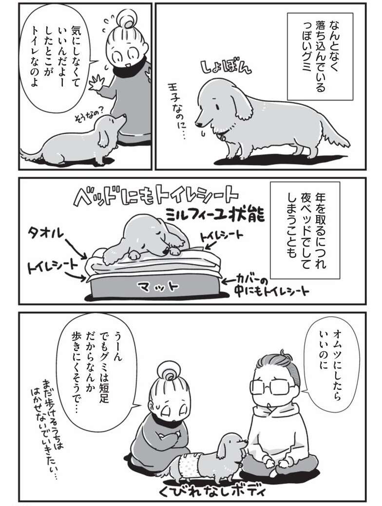 『何度でも言うね、大好きだよ 愛犬グミと銀次郎と過ごした日々』 mydog-P37.jpg