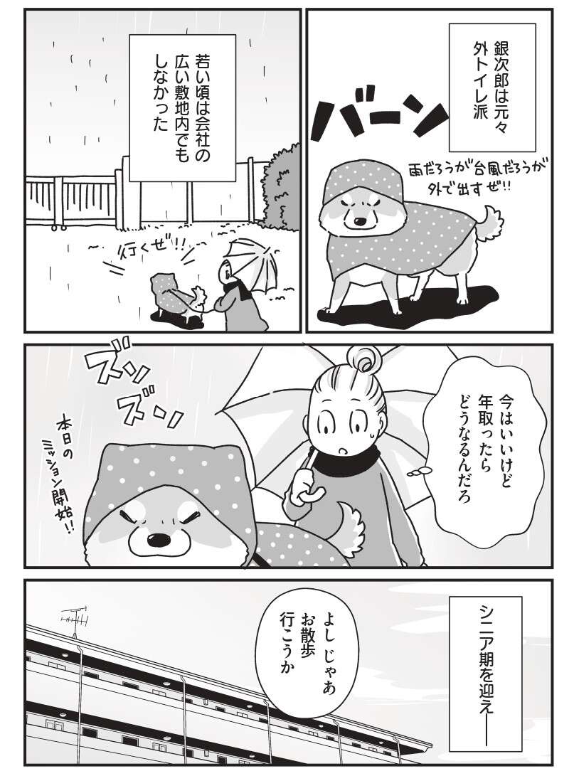 『何度でも言うね、大好きだよ 愛犬グミと銀次郎と過ごした日々』 mydog-P38.jpg