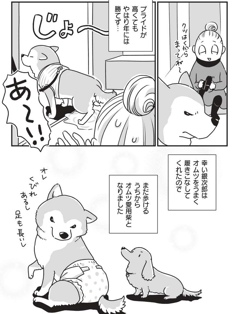 『何度でも言うね、大好きだよ 愛犬グミと銀次郎と過ごした日々』 mydog-P39.jpg