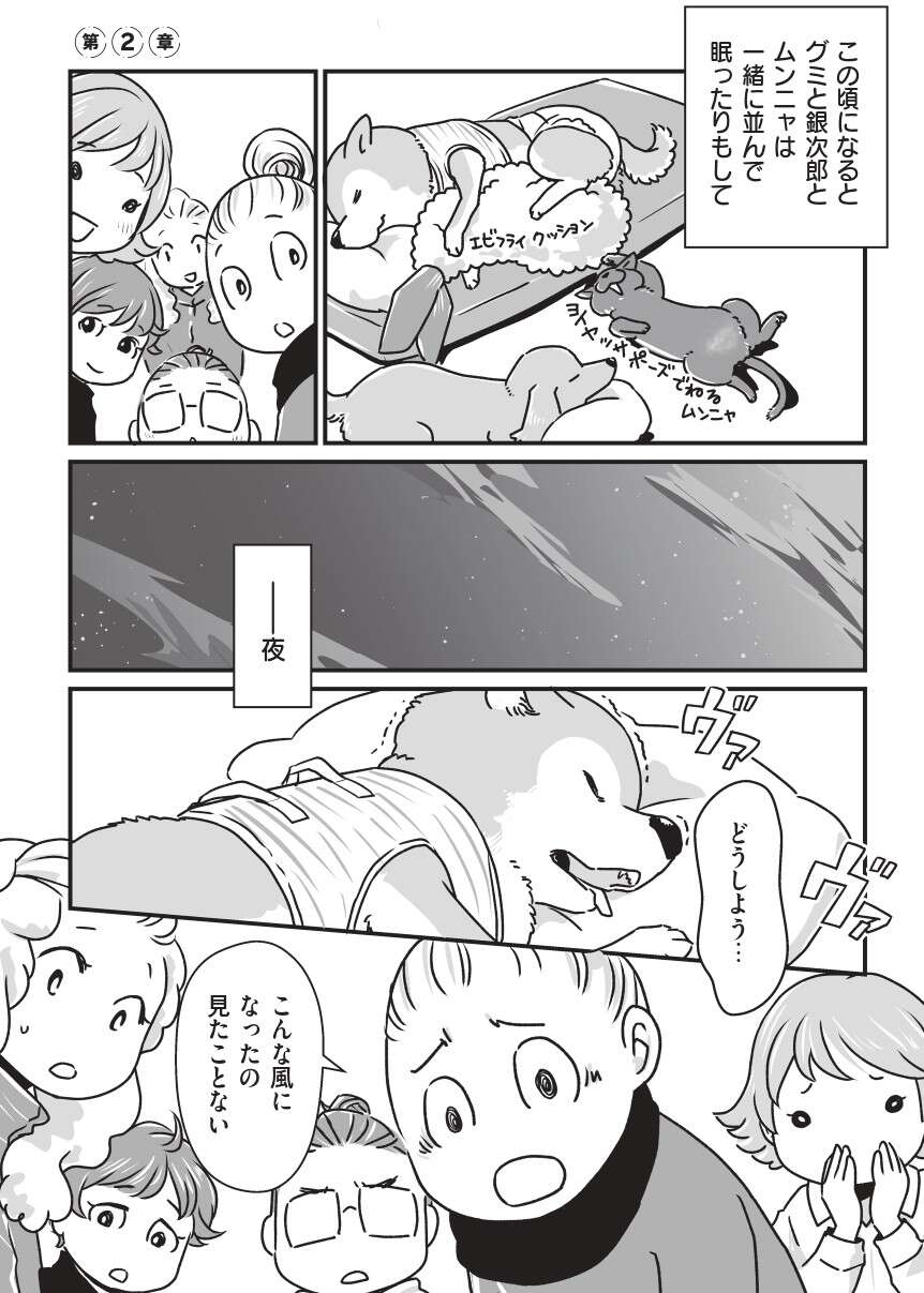 『何度でも言うね、大好きだよ 愛犬グミと銀次郎と過ごした日々』 mydog-P71.jpg