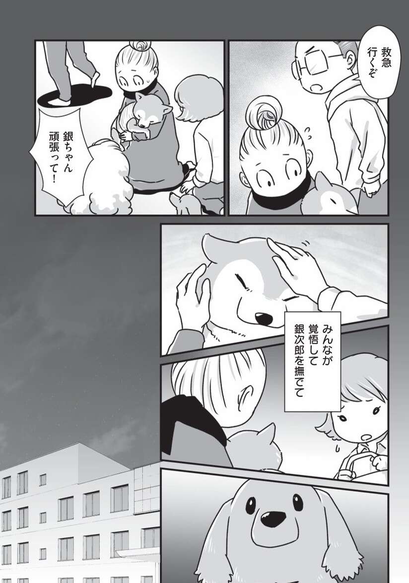 『何度でも言うね、大好きだよ 愛犬グミと銀次郎と過ごした日々』 mydog-P72.jpg