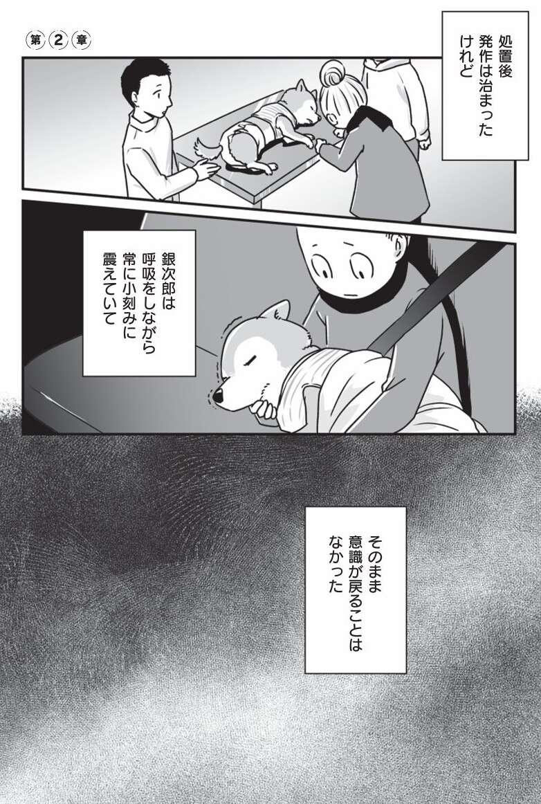 『何度でも言うね、大好きだよ 愛犬グミと銀次郎と過ごした日々』 mydog-P73.jpg