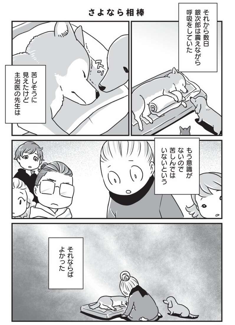 『何度でも言うね、大好きだよ 愛犬グミと銀次郎と過ごした日々』 mydog-P74.jpg