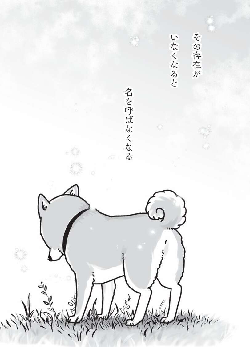 『何度でも言うね、大好きだよ 愛犬グミと銀次郎と過ごした日々』 mydog-P79.jpg