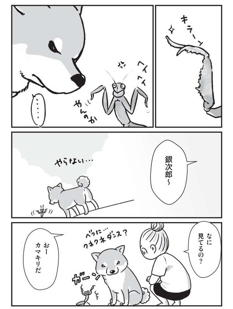 『何度でも言うね、大好きだよ 愛犬グミと銀次郎と過ごした日々』 mydog-P80.jpg