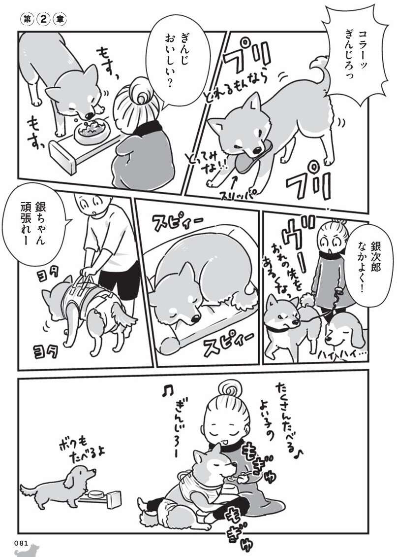 『何度でも言うね、大好きだよ 愛犬グミと銀次郎と過ごした日々』 mydog-P81.jpg
