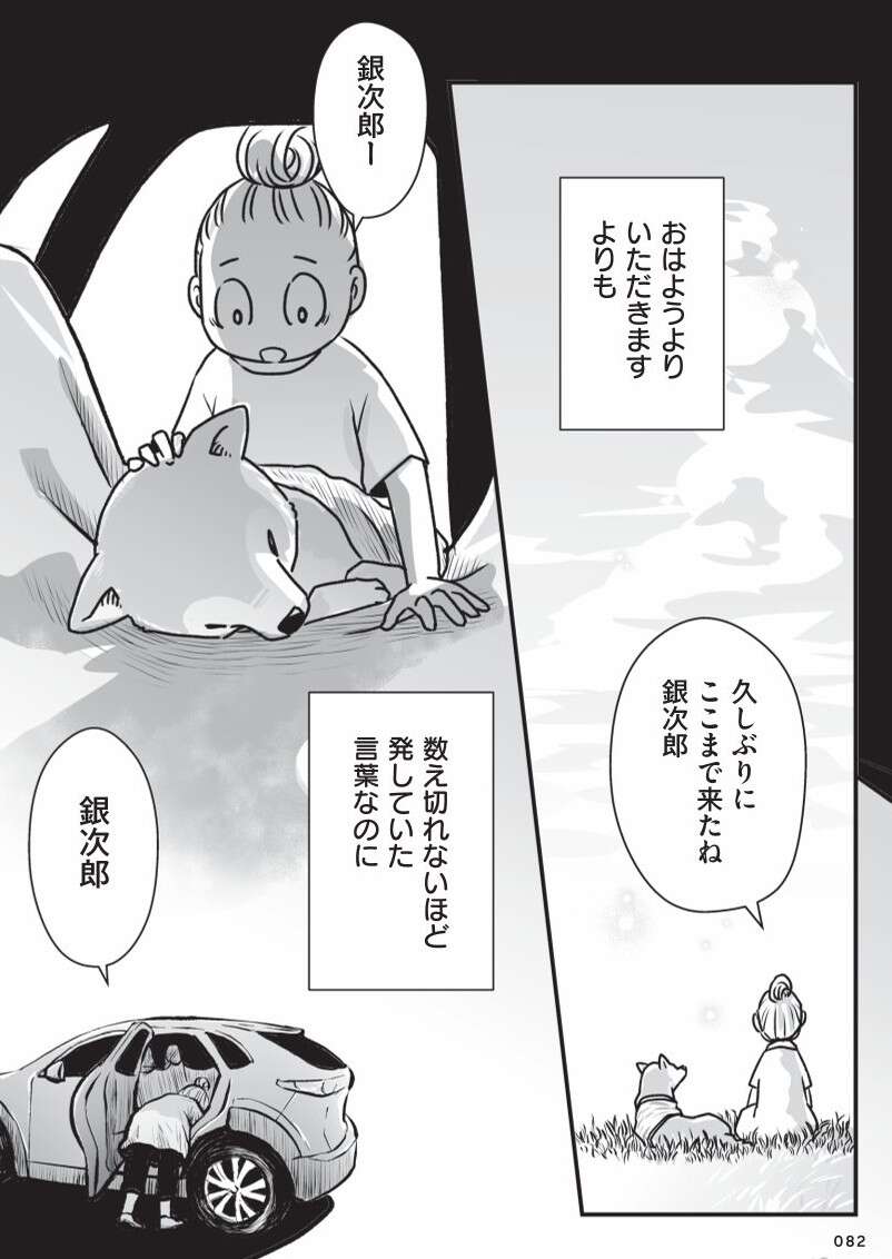 『何度でも言うね、大好きだよ 愛犬グミと銀次郎と過ごした日々』 mydog-P82.jpg