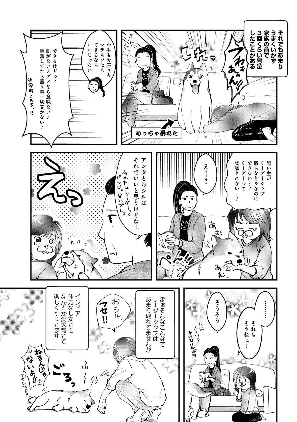  ハスキー犬といえばキリっとした顔...うちの子は「だいぶ違うな？」／猫とハスキーとハマジ1 neko_husky_hamaji1-4.jpg