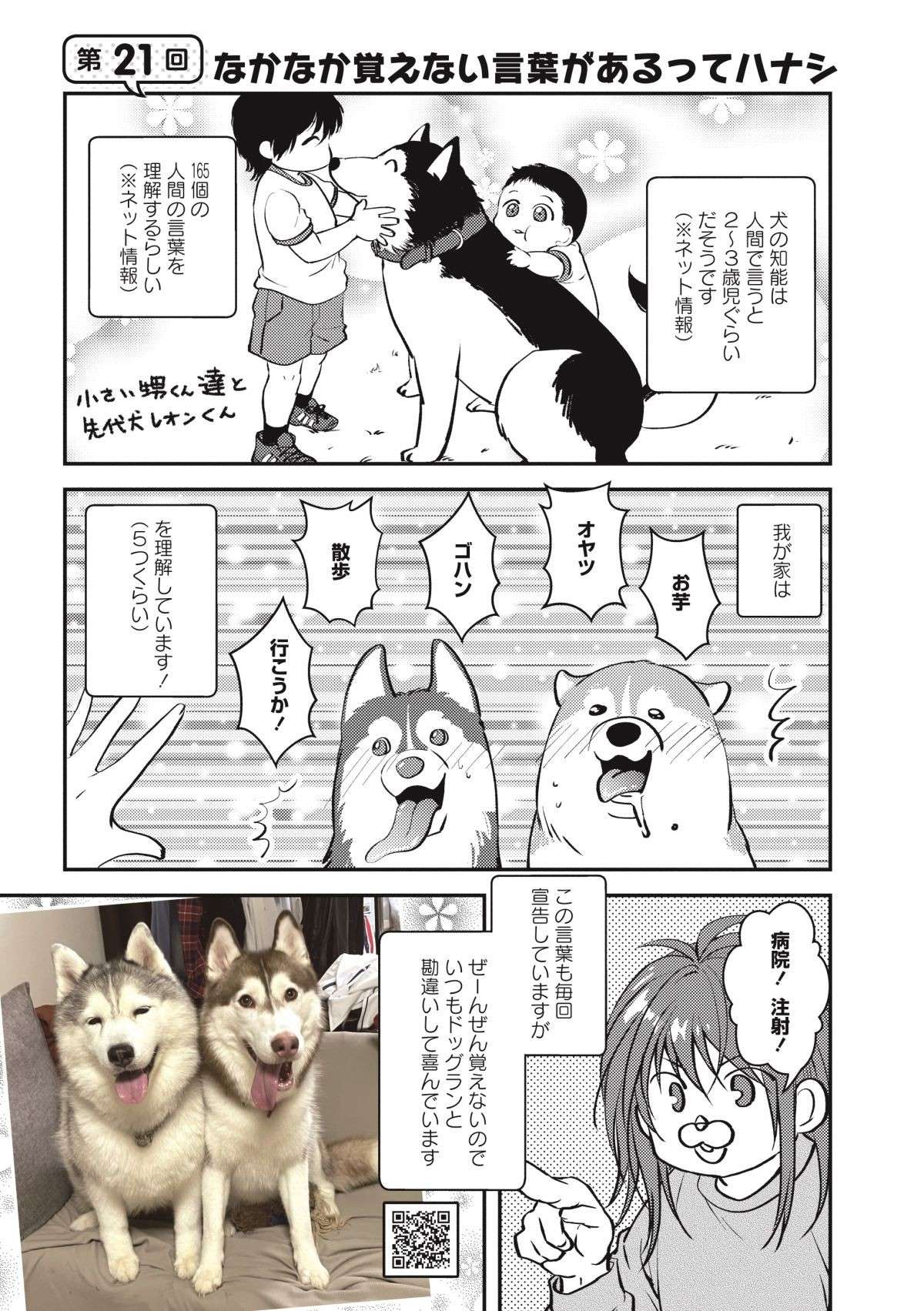 「オヤツ」「散歩」は理解する犬たち。でも、「まったく覚えない言葉」が／猫とハスキーとハマジ2 neko_husky_hamaji2.6-1.jpg