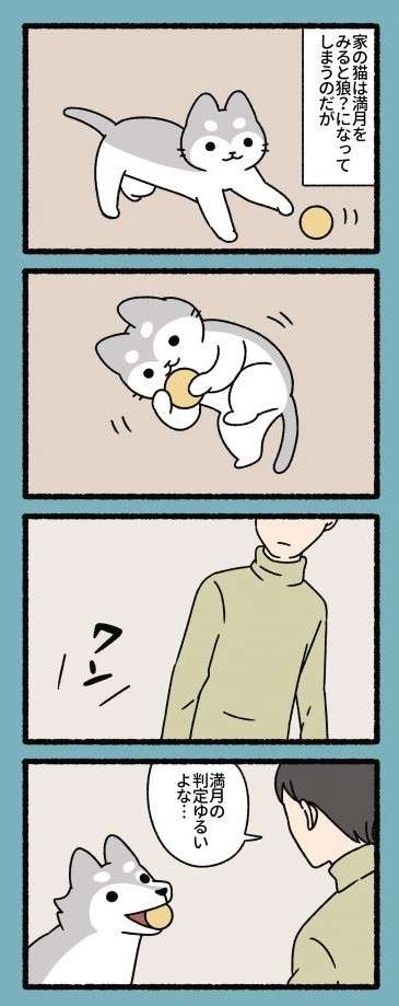 『ねこもんすたー』 neko_monster-11.jpg