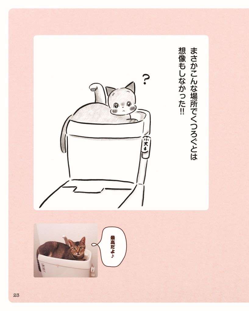 猫は快適な場所を見つけてくつろぐ。えっ、そこも!?／猫がいるしあわせ nekogairushiawase4_2.jpg