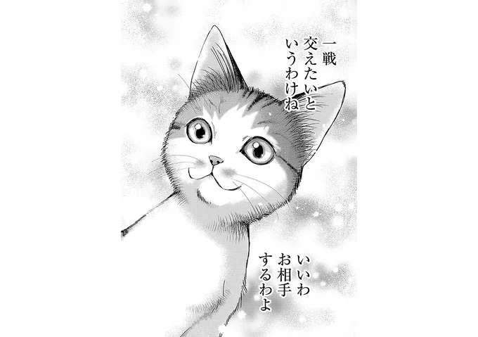 「いいわ、お相手するわよ」子猫が仕掛けた「乗っ取り作戦」。家には猫嫌いの男性が...／猫語の教科書