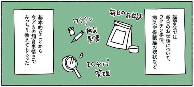 「保護猫との暮らし」を考える夫婦。保護猫講習会は新発見の連続！／ねこ活はじめました