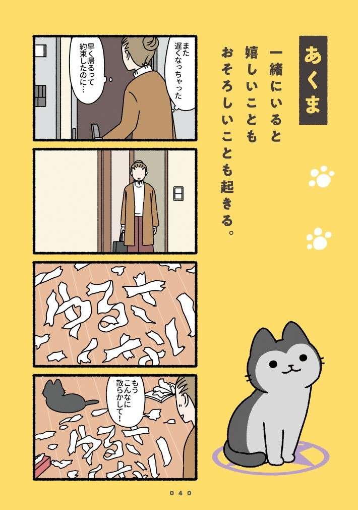 『ねこもんすたー』 nekomonsuta-nyao-1.jpg