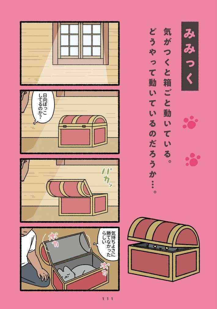 『ねこもんすたー』 nekomonsuta-nyao-16.jpg