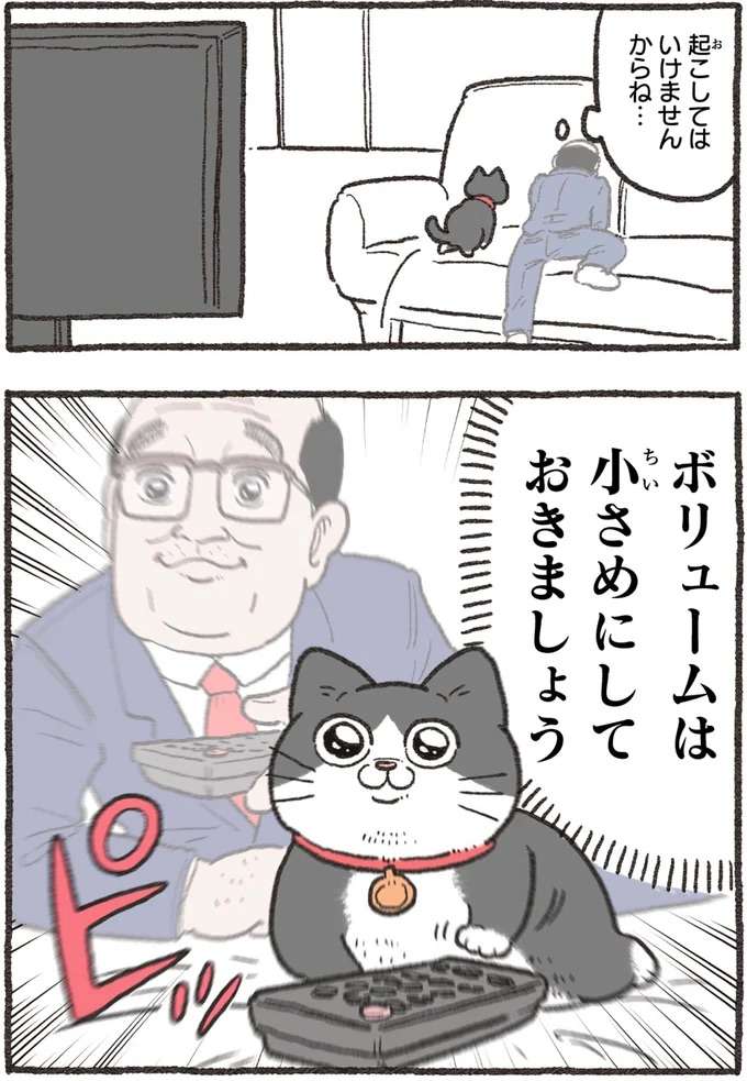 『ねこに転生したおじさん 4』 nekotensei1_6.jpeg