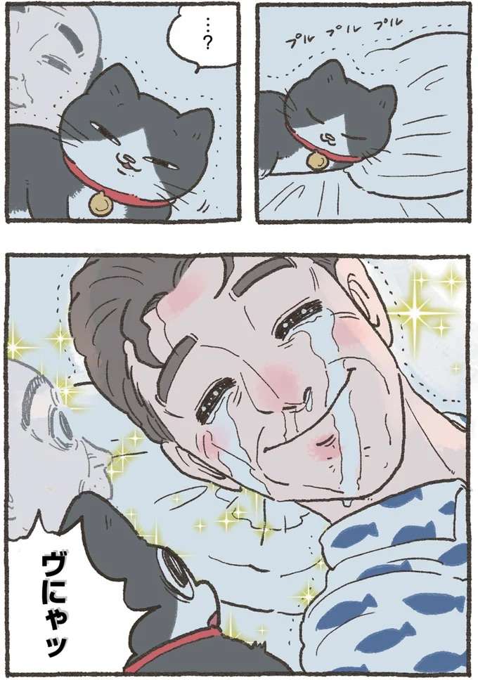 『ねこに転生したおじさん 4』 nekotensei2_2.jpeg