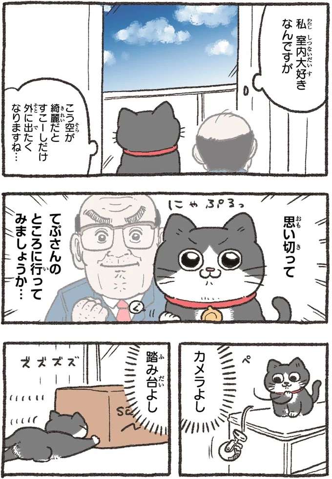 ノーノー、オープン!外に出たい猫の「無謀な挑戦」の結末/ねこに転生したおじさん4 nekotensei4_1.jpeg