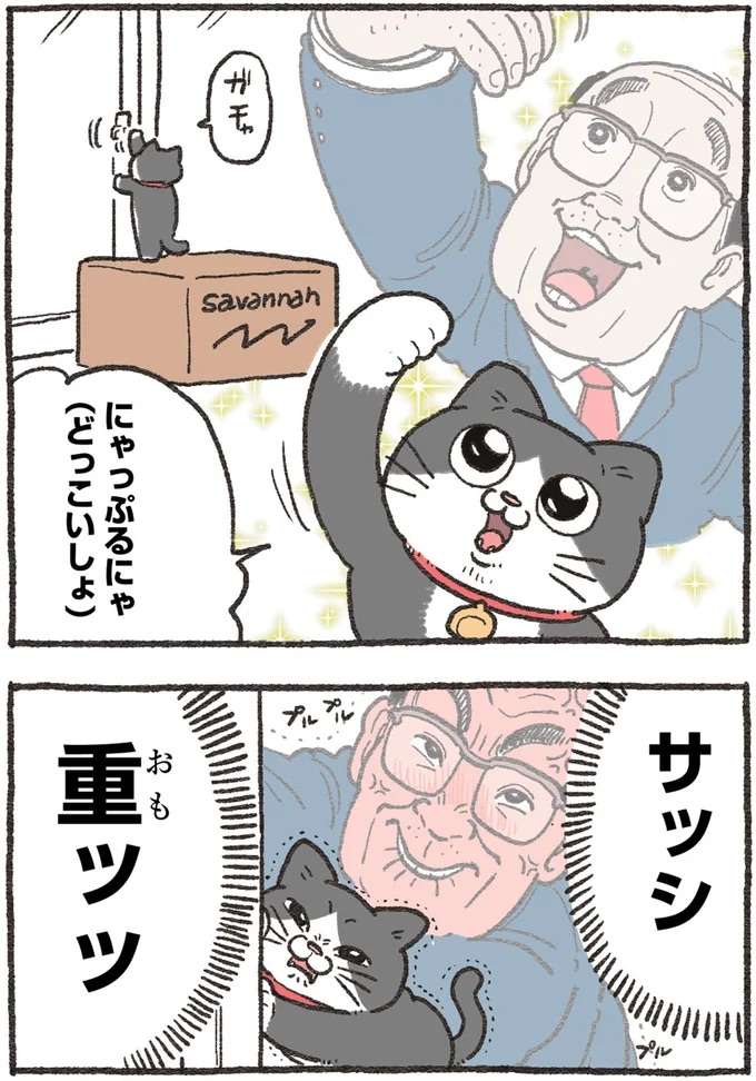 『ねこに転生したおじさん 4』 nekotensei4_2.jpeg