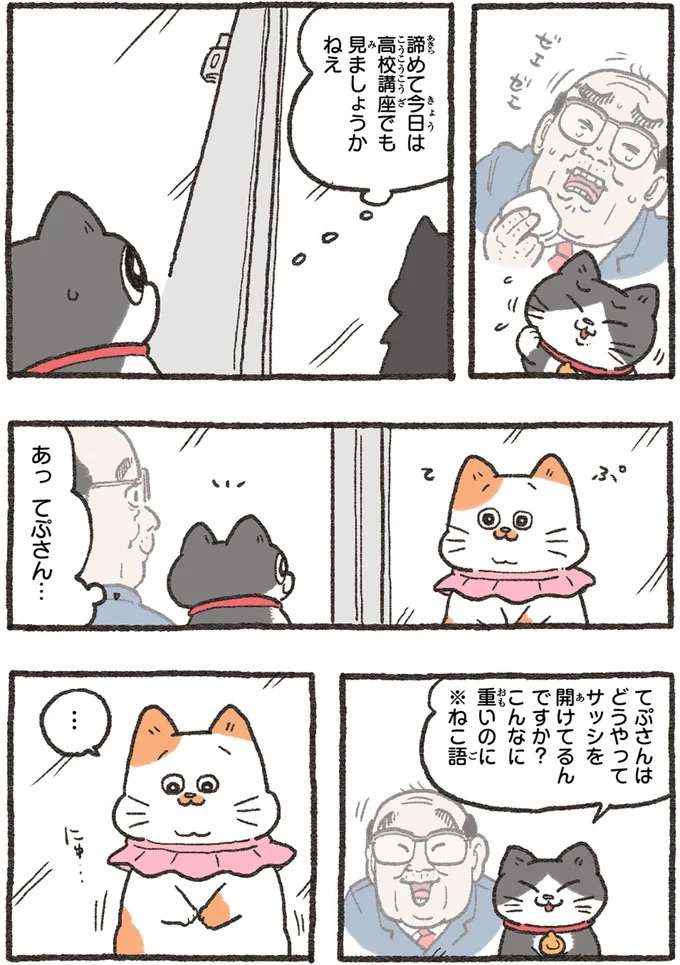 『ねこに転生したおじさん 4』 nekotensei4_3.jpeg