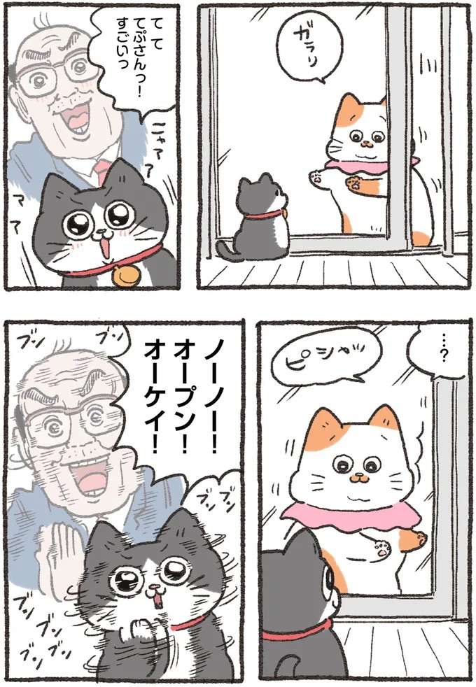 『ねこに転生したおじさん 4』 nekotensei4_4.jpeg