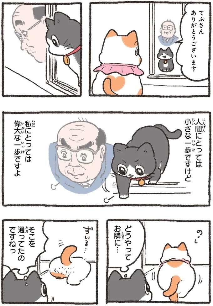 ノーノー、オープン！外に出たい猫の「無謀な挑戦」の結末／ねこに転生したおじさん4 nekotensei4_5.jpeg