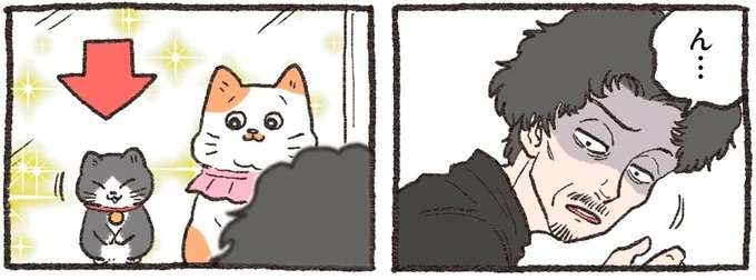 仕事で悩む隣人。猫のかわいいエネルギーで悩みを中和！／ねこに転生したおじさん4