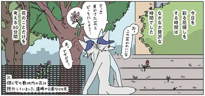 早朝の散歩帰りに花の写真を1枚撮る――夏の思い出/眠れぬ夜はケーキを焼いて4