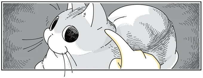 猫の後頭部にいたずら書き。気にはなるようだけど...んん? /夜は猫といっしょ4