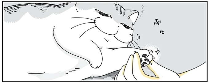 寝起きがチャンス!? ツメ切りを嫌がる猫をつかまえやすいタイミング/夜は猫といっしょ4