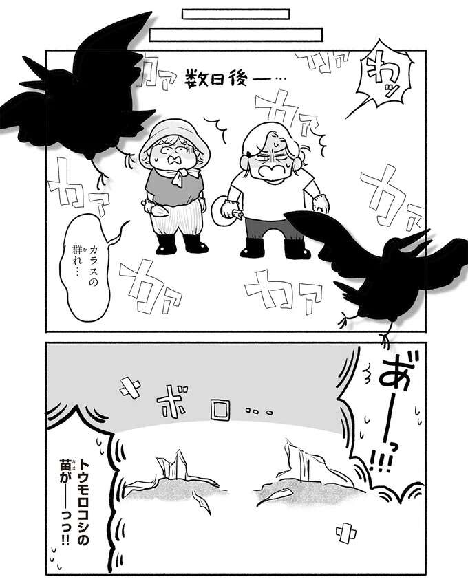 学べることは楽しい！ でも、体力的に仕事と学校の両立は難しく...／戦争さえなければ nowar7_5.jpeg