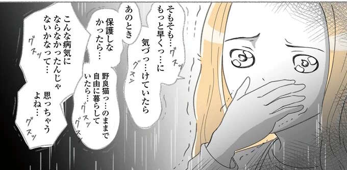 愛猫ががんに...！ 後悔が押し寄せる中、飼い主としてできることは？／にゃんかつ