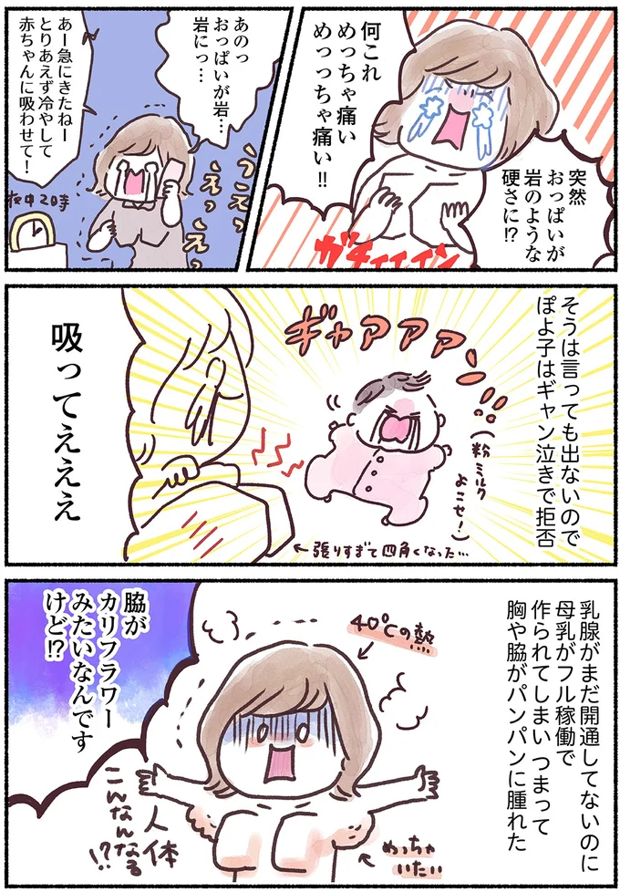 『33歳ママ、乳がんステージ3でおっぱいにサヨナラします』 nyuugan2_2.webp