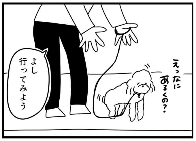 「いやお前...」臆病な犬が初の散歩でよその犬に遭遇。反応は...えええ／おはよう、サンテ