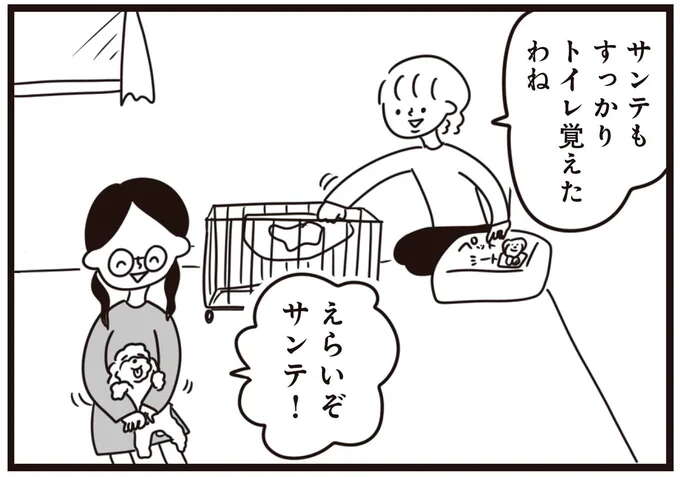 「違う違う！」子犬にトイレを覚えさせることに成功！と思ったら...／おはよう、サンテ
