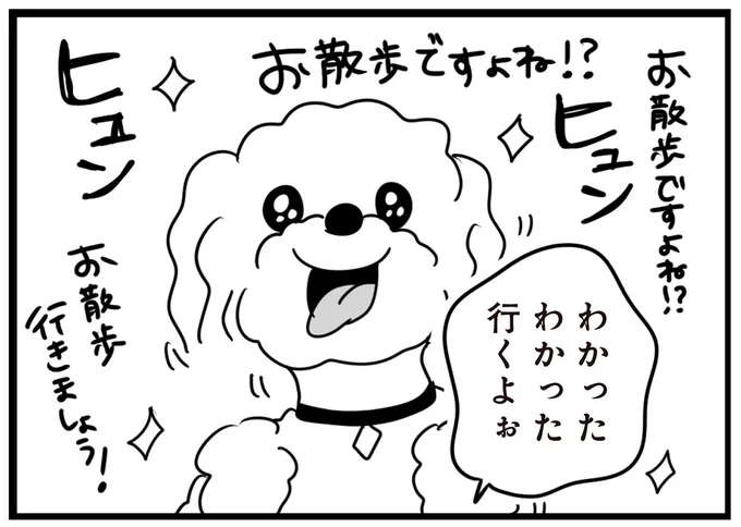 「お散歩ですよね!?」ウキウキの愛犬。でもドアを開けたら雨で...おい！／おはよう、サンテ