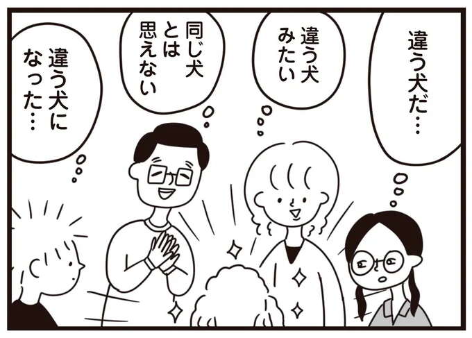 トイプーには重要なトリミング。ブラッシング嫌いな愛犬を放置していたら／おはよう、サンテ