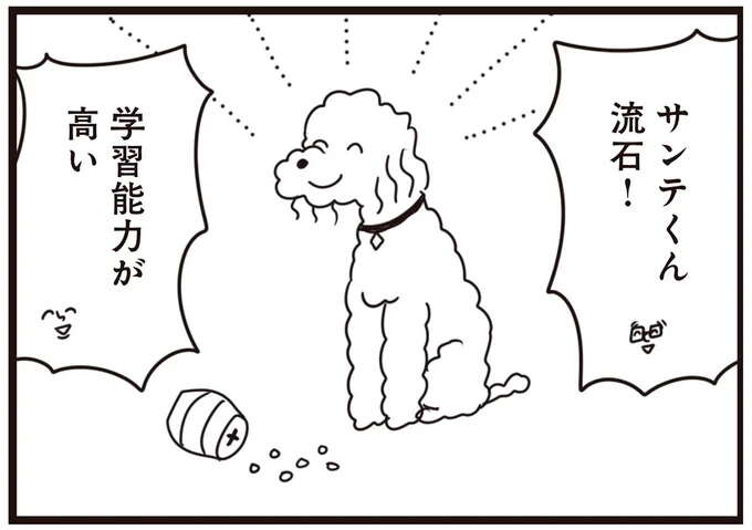 犬用の知育玩具もすぐクリア。お利巧な愛犬に思わず声が出た！／おはよう、サンテ