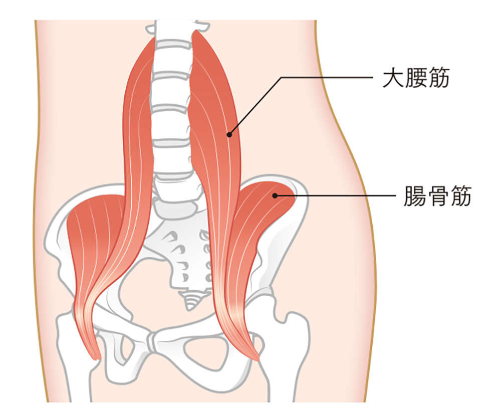 ぽっこり出た下腹部はどうすれば解消できる!? 下腹部と脚をつなぐ「腸腰筋」をストレッチするコツ otona3-1.jpg