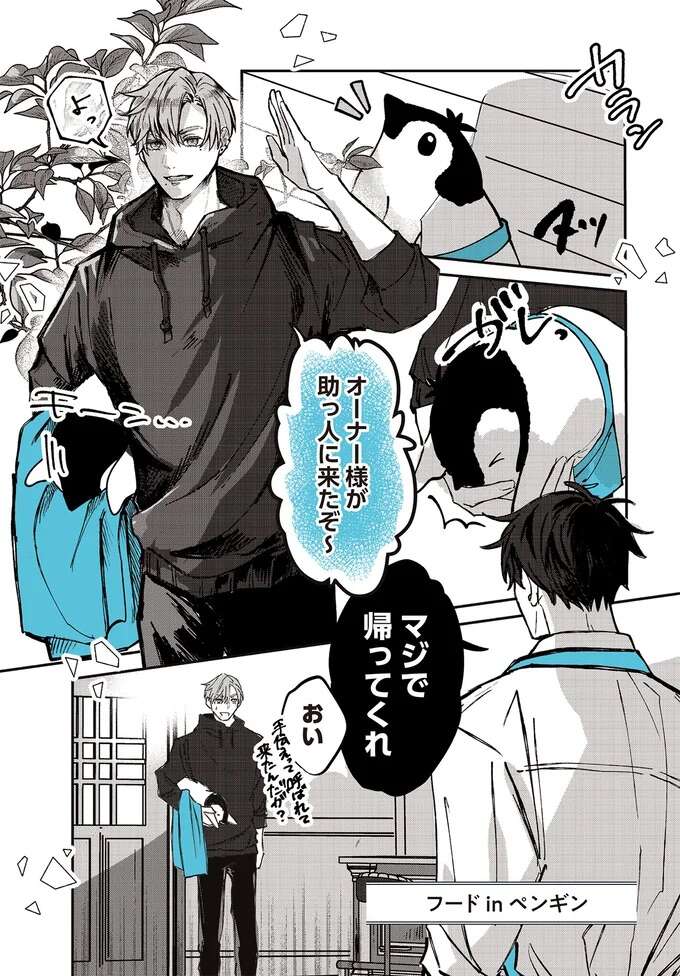 フードにペンギンを入れて接客!? お客さんの話題になった助っ人／ペンギン喫茶は今日も青天2 penguincafe13_1.jpeg