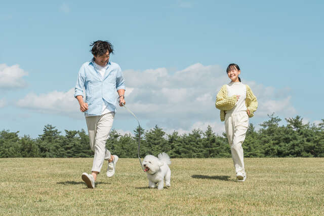 愛犬・愛猫を「がん」にさせないために！免疫力を高める4つの生活習慣 pixta_115163572_S.jpg